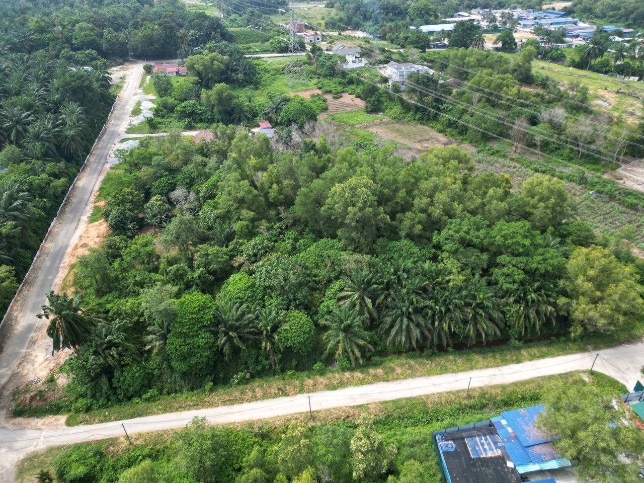 Tanah Pertanian Bukit Damar Cyberjaya 3.91 Ekar