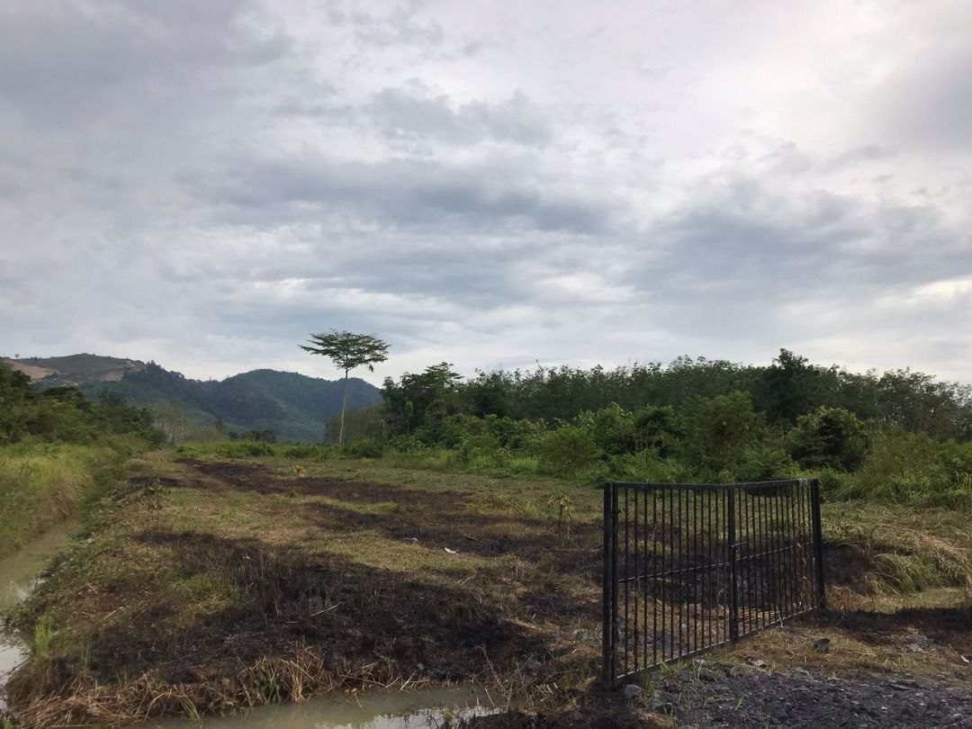 Tanah Pertanian Kampung Aton Kubang Pasu 6.82 Ekar