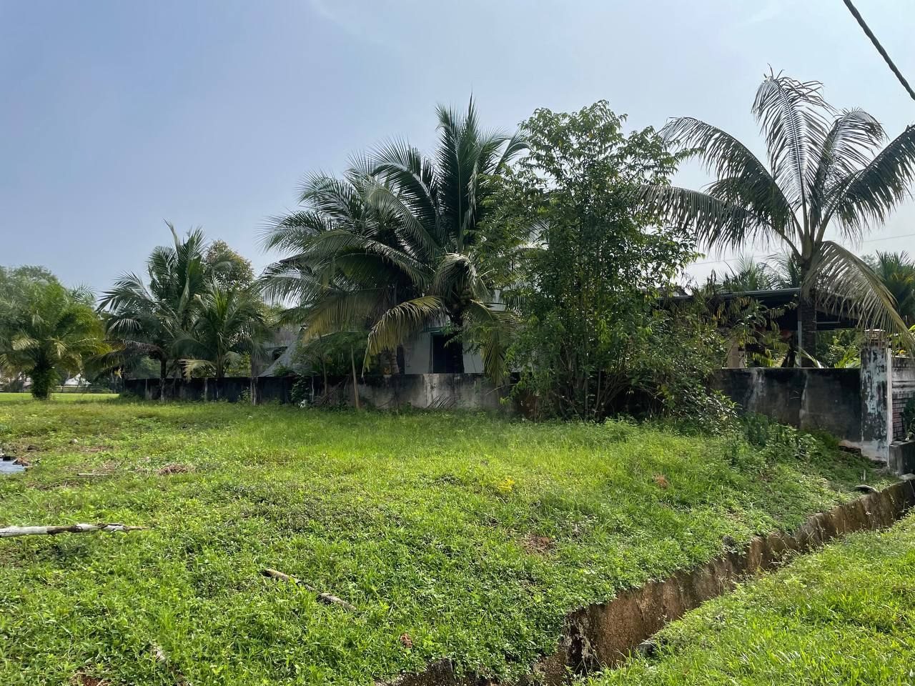 Lot Banglo Permaipura Bedong 7,007 Kaki Persegi Freehold