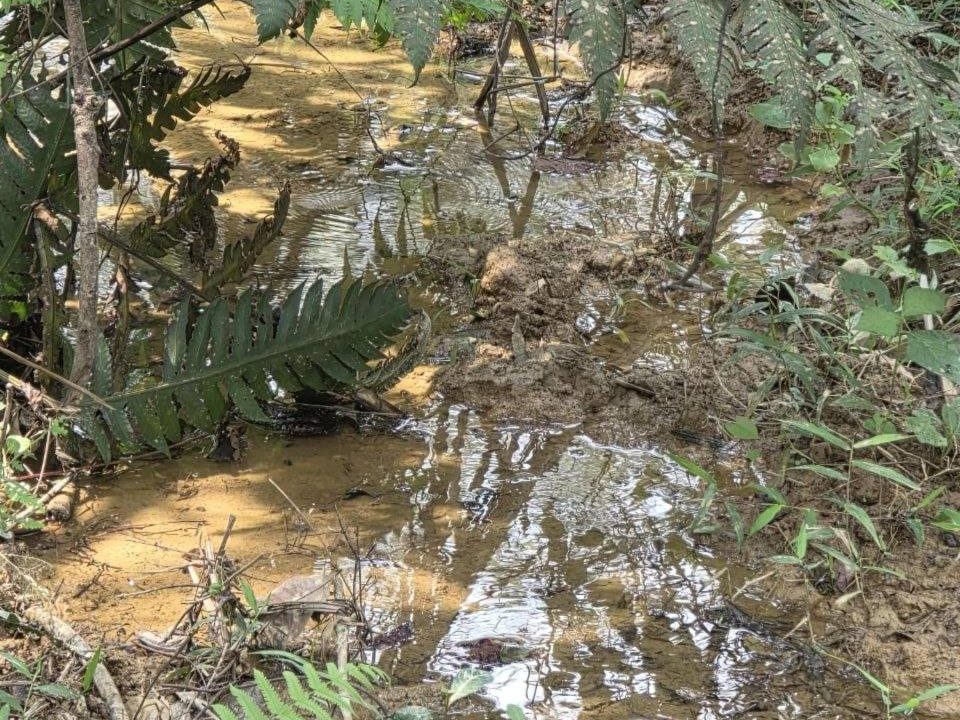 Tanah Pertanian Tulang Rimau Johol 2.95 Ekar Freehold Geran Individu