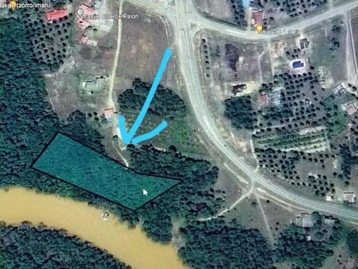 Tanah Pertanian Cherok Paloh Kuantan 2.60 Ekar Freehold