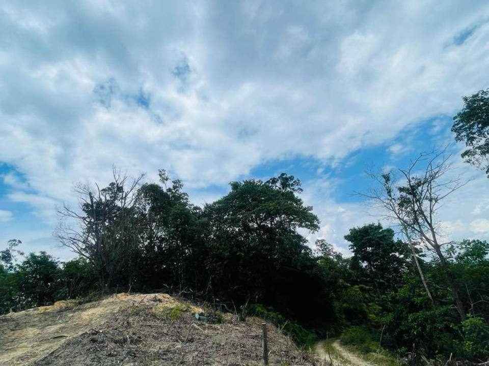 Tanah Pertanian Sungai Lembing Kuantan 1.7 Ekar Geran Individu