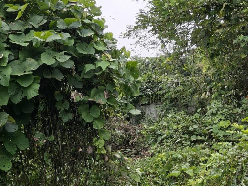 Tanah Lot Bangunan Bangi Salak Road Dengkil 10,422 Kaki Persegi Freehold Corner Lot