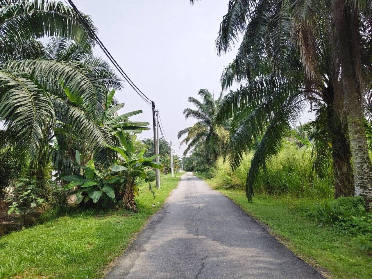Tanah Pertanian Labohan Dagang Kuala Langat 1.42 Ekar Freehold Tepi Jalan