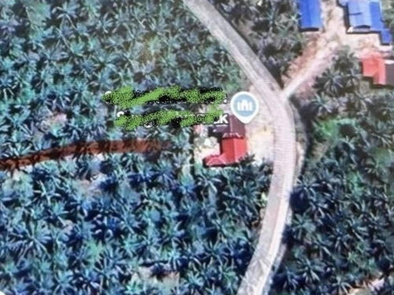 Tanah Pertanian Sungai Nyamok Hilir Perak 2 Ekar Tanaman Sedia Ada