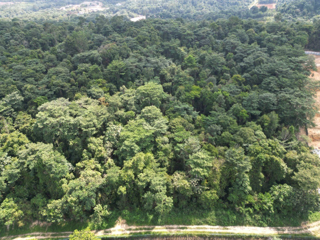 Tanah Tepi Jalan Jenderam Salak Tinggi 3.52 Ekar Freehold