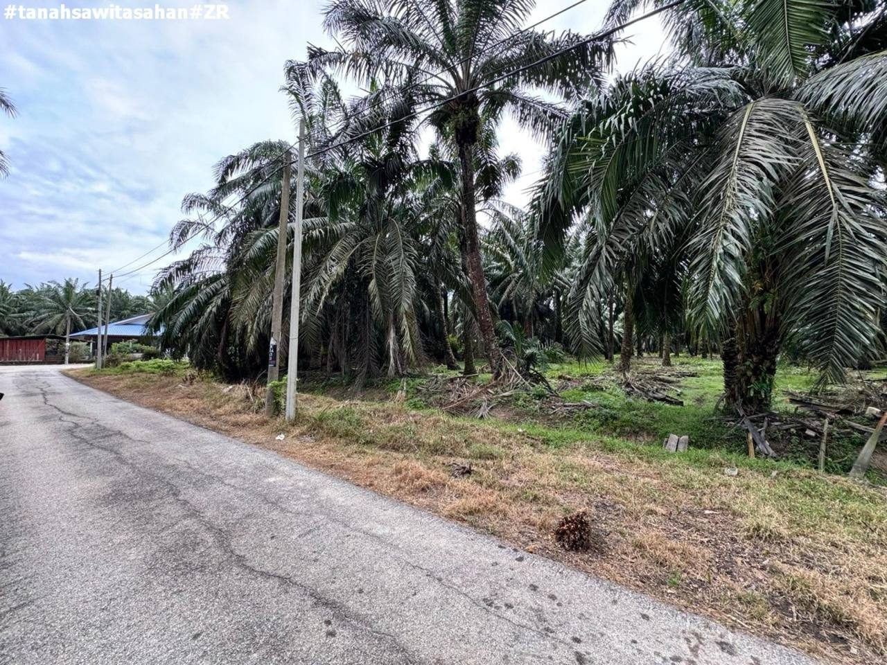 Tanah Kebun Sawit 1.23 Ekar Freehold Kampung Asahan Kuala Selangor