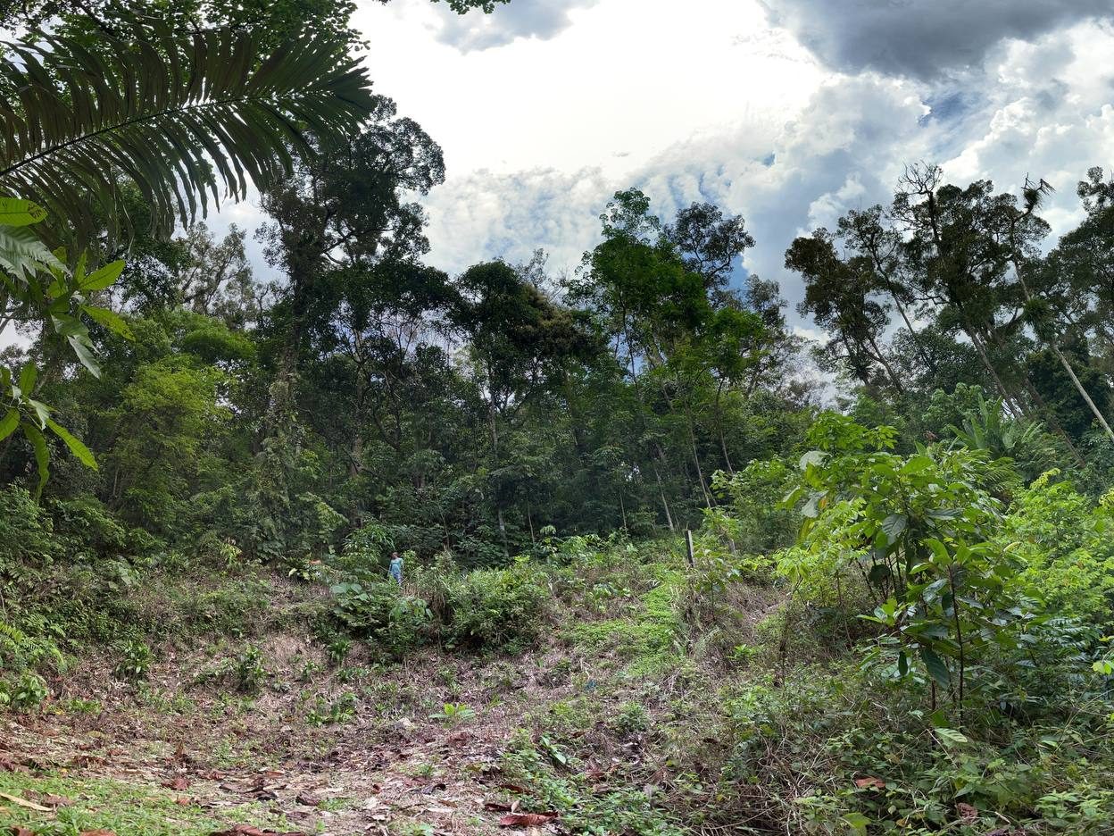 Tanah Bukit Lanjan Sungai Penchala Kuala Lumpur 1 Ekar Freehold