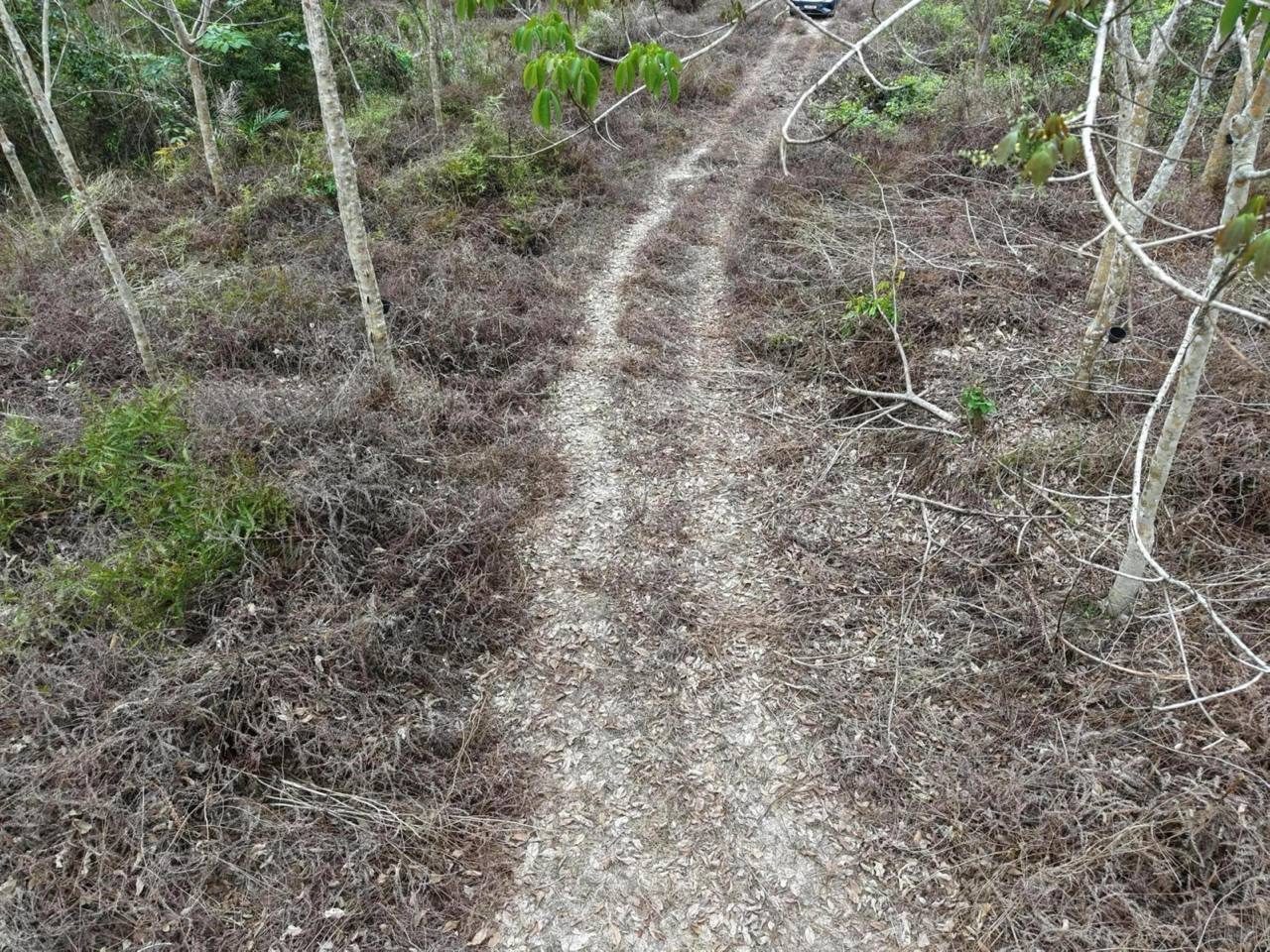 Tanah 5.77 Ekar Freehold Ulu Bernam Kuala Kubu Bharu
