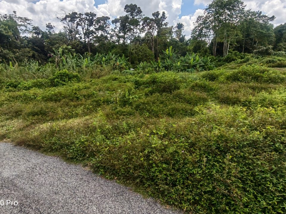 Tanah 5,053 Kaki Persegi Jeniang Kedah