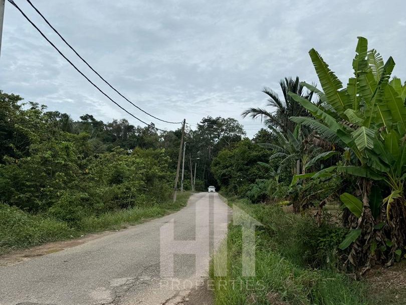 Tanah Pertanian 1.82 Hektar Freehold Geran Individu Gurun Kedah