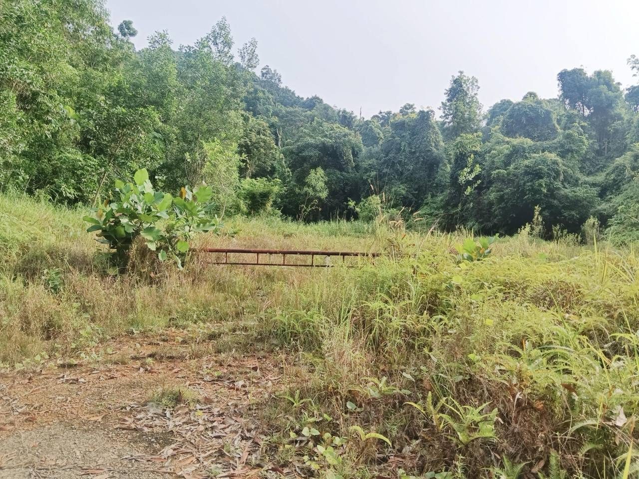 Tanah Sungai Merab Mukim Dengkil Bangi 4.46 Ekar Freehold (Residential)