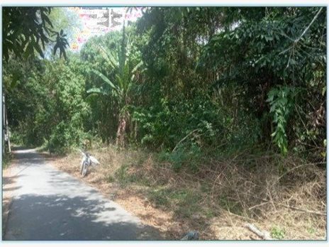 Tanah Pertanian 12.51 Ekar Freehold Merbok Kedah