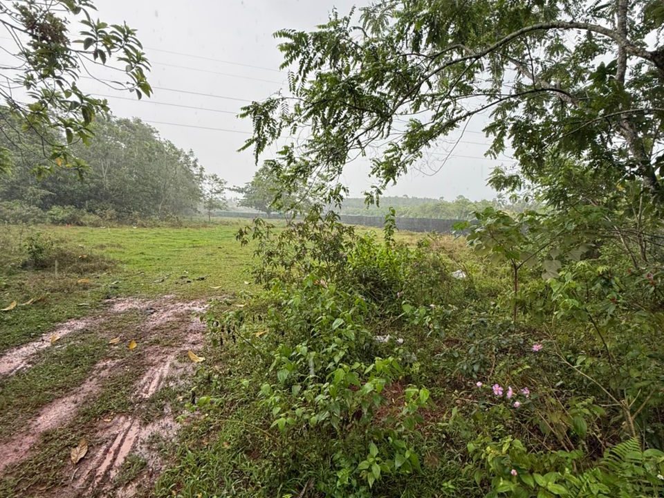 Tanah Pertanian 46,995 Kaki Persegi Freehold Padang Kulim Kedah