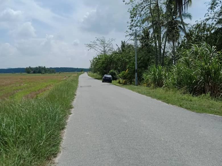 Tanah Pertanian Sawah Padi 3.63 Ekar Merbok Kedah