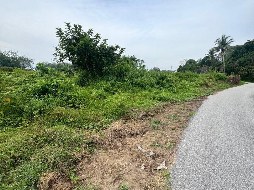 Tanah 2.48 Relong Kg Jawa Kuala Ketil