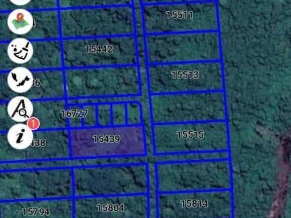 Tanah Pertanian 1 Ekar RTK Jalan Tegak Pekan Pahang