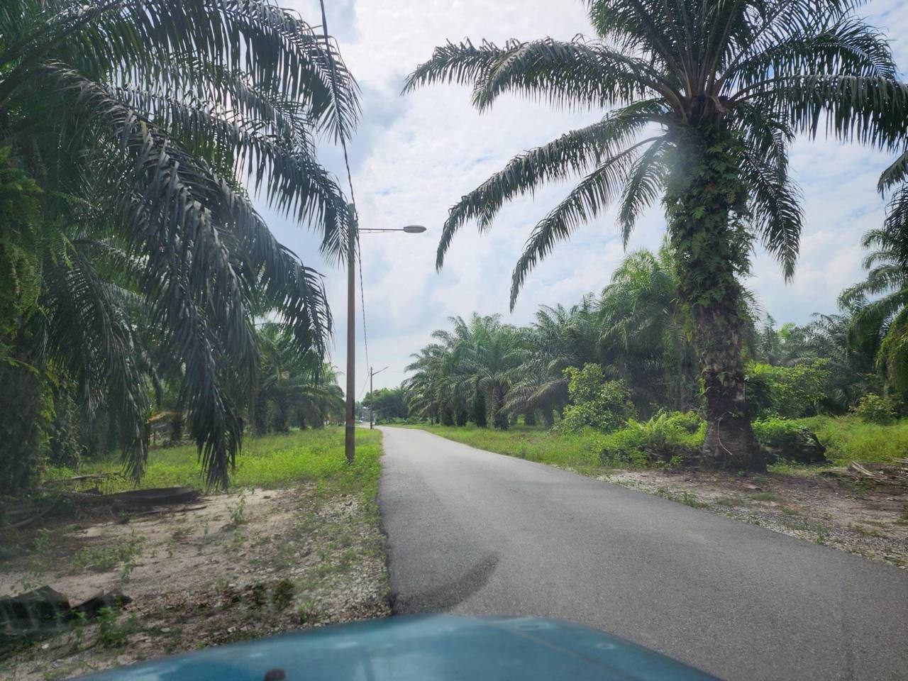 4 Lot Tanah Pertanian 4.44 Ekar Freehold Pengkalan Bharu Pantai Remis Perak