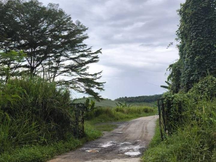 Tanah Pertanian 40 Ekar Freehold International Lot Senai Johor