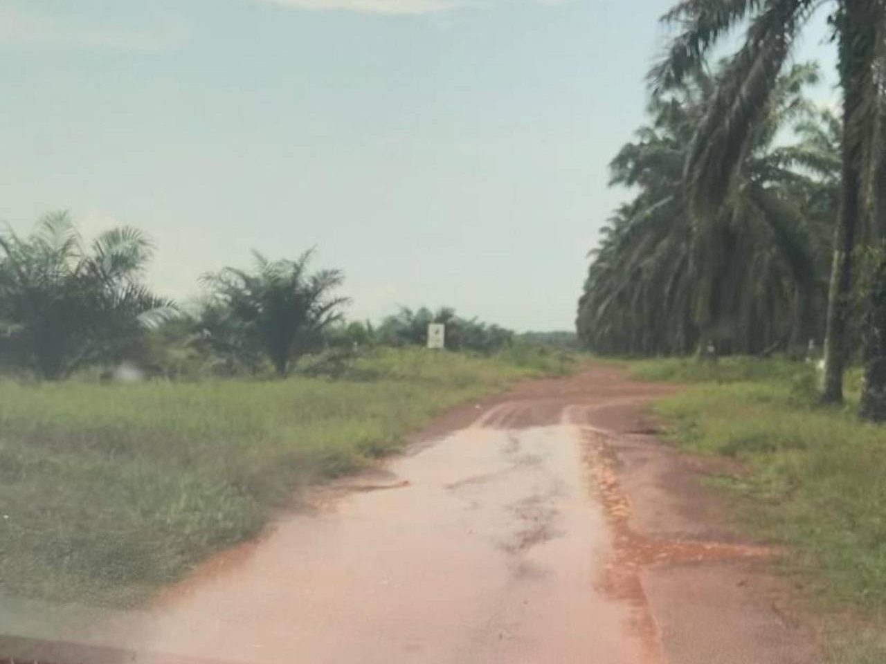 Ladang Sawit 2,900 Ekar Freehold Open Title Parit Raja Johor