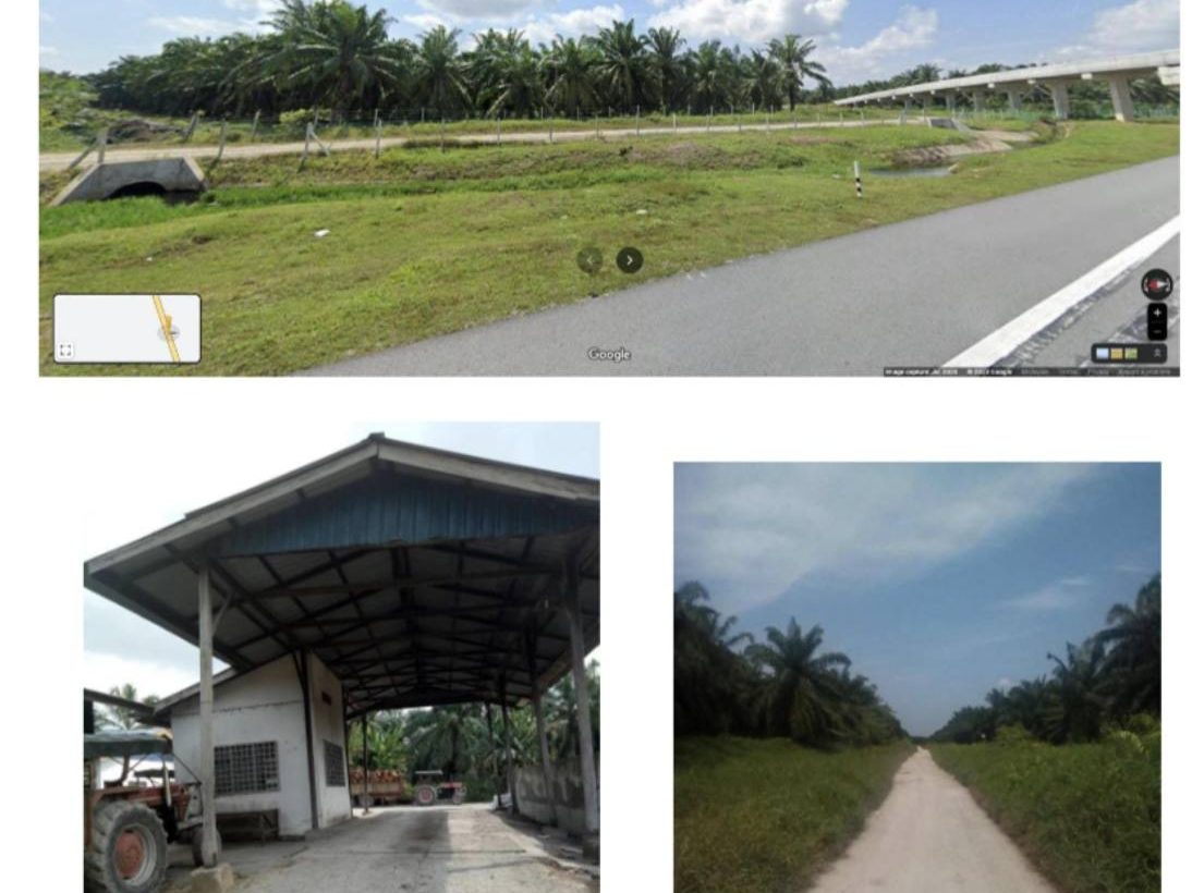Tanah Pertanian 2,925.72 Ekar Durian Sebatang Teluk Intan Perak