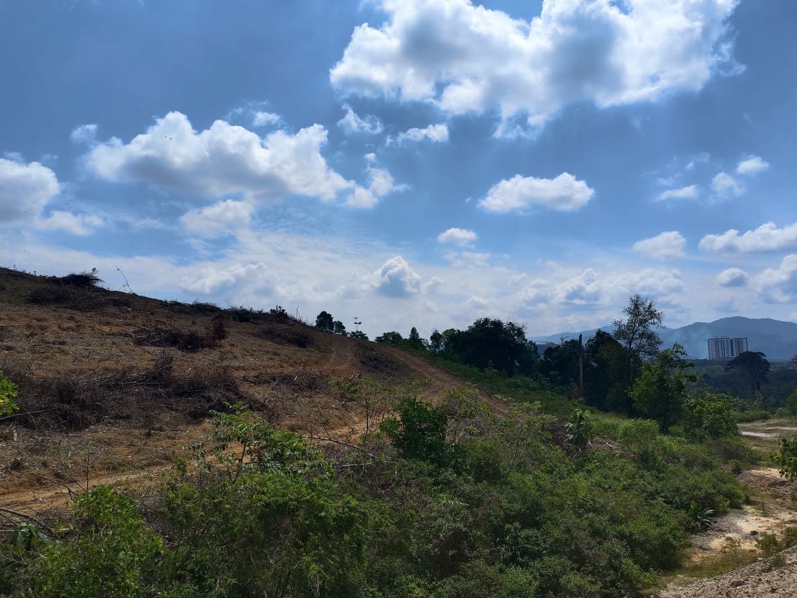Tanah Pertanian 3 Ekar Freehold Beranang Tengah