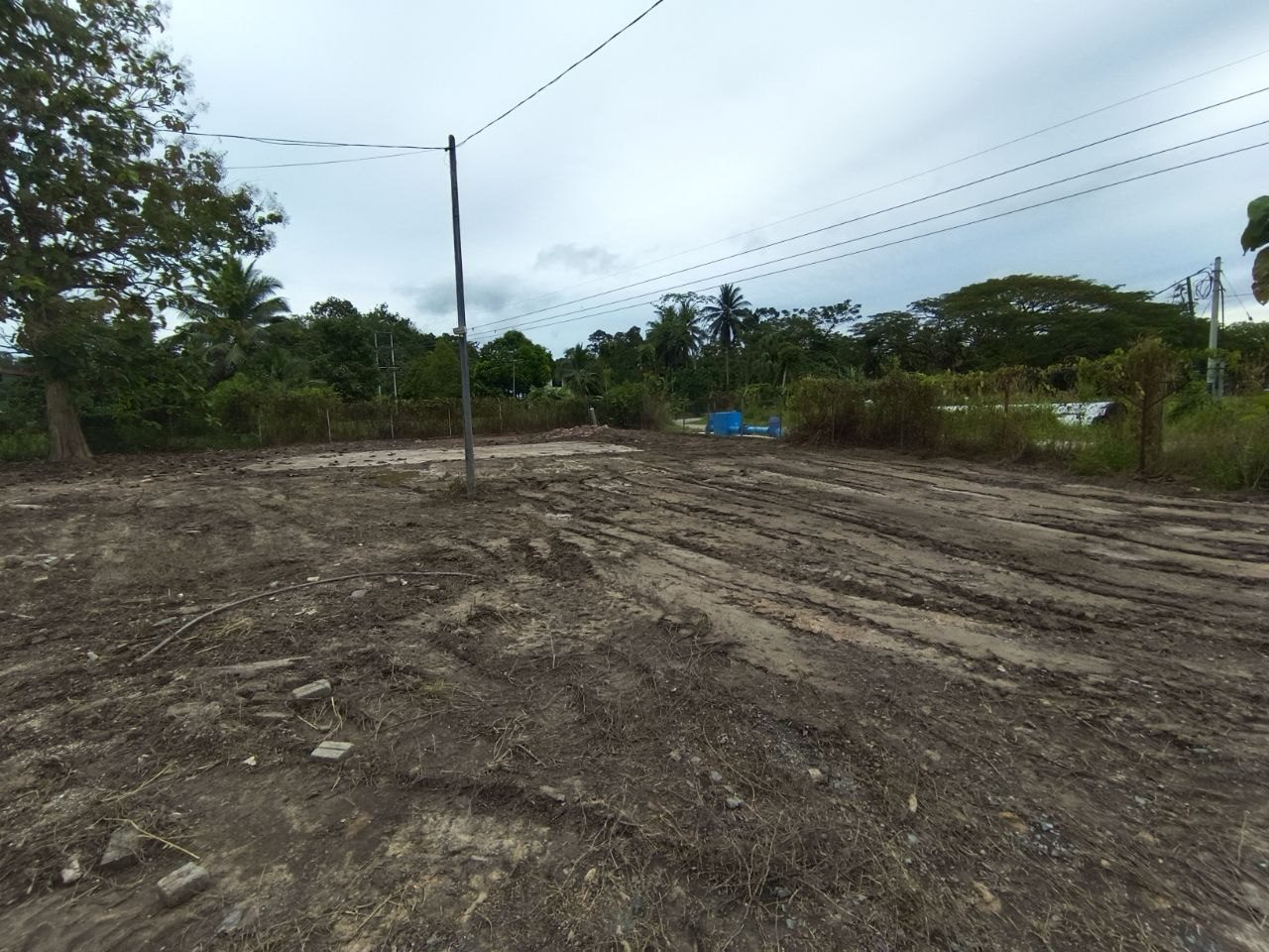 Tanah Pertanian 2.34 Ekar Freehold Kota Mengkuang Jitra