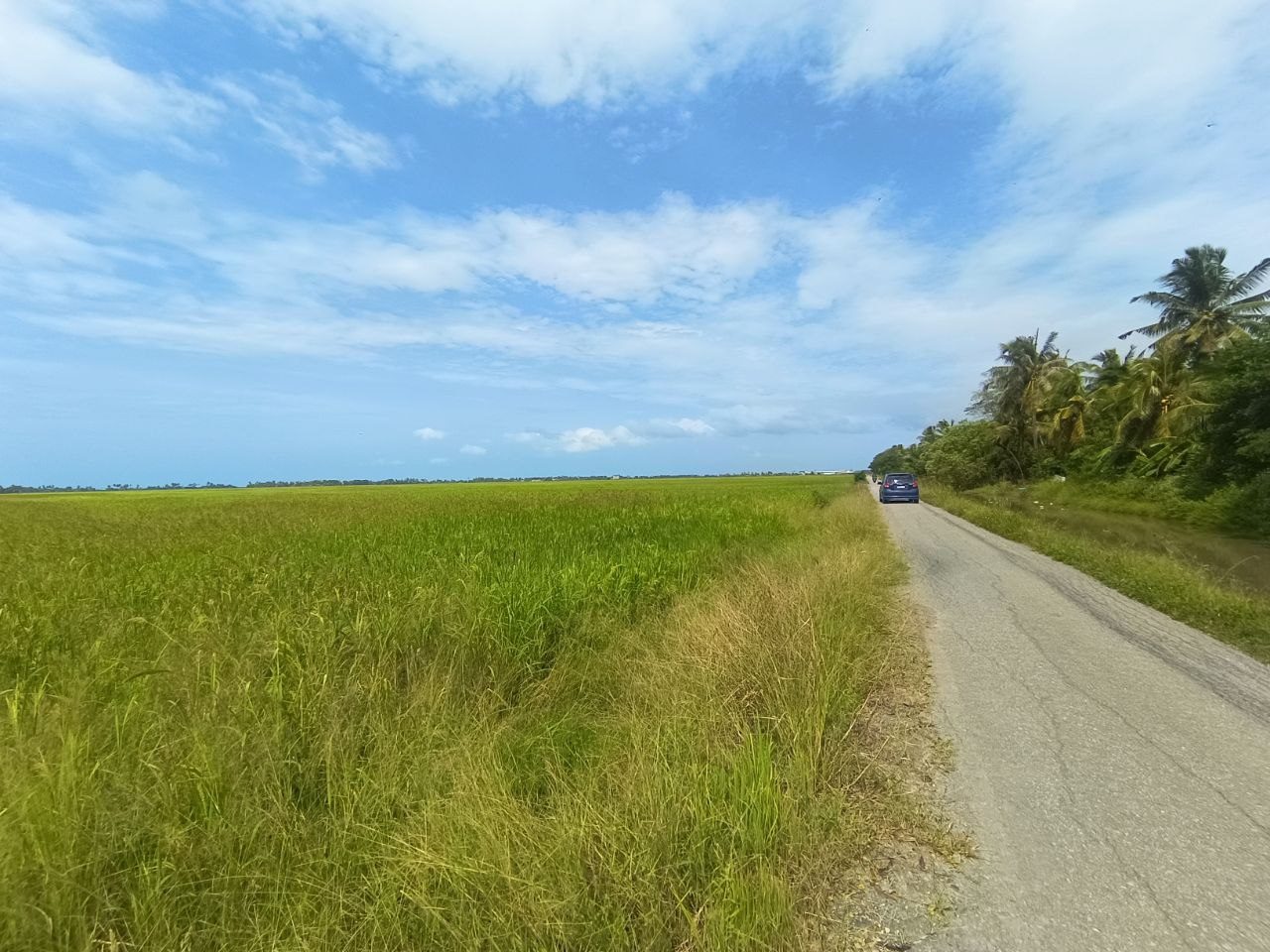 Tanah Bendang 5.71 Ekar Freehold Alor Janggus Alor Setar