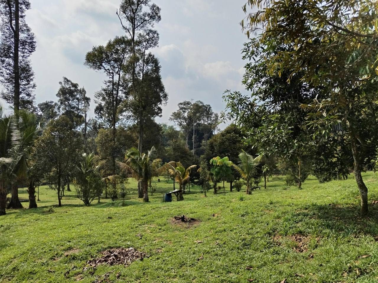 Tanah Pertanian 3.5 Ekar Freehold Ulu Yam Rawang Selangor