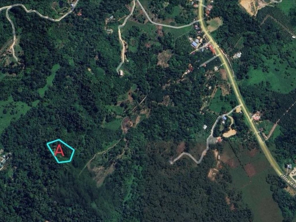 Tanah Pertanian 2.51 Ekar Freehold Perpetuity Bekenu Miri
