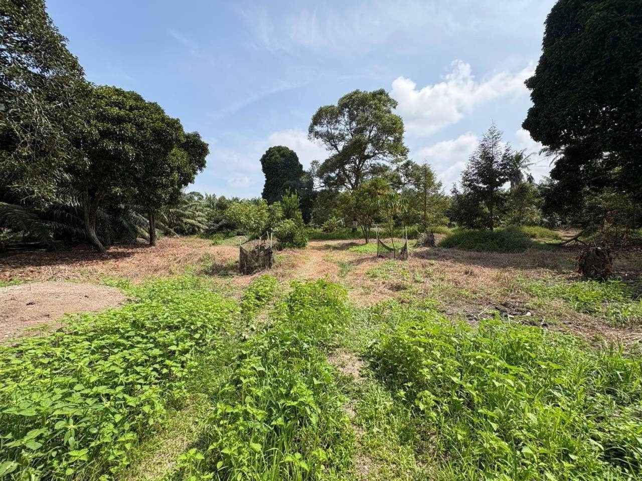 Tanah Dusun 0.89 Ekar Freehold Bukit Belimbing Kuala Selangor