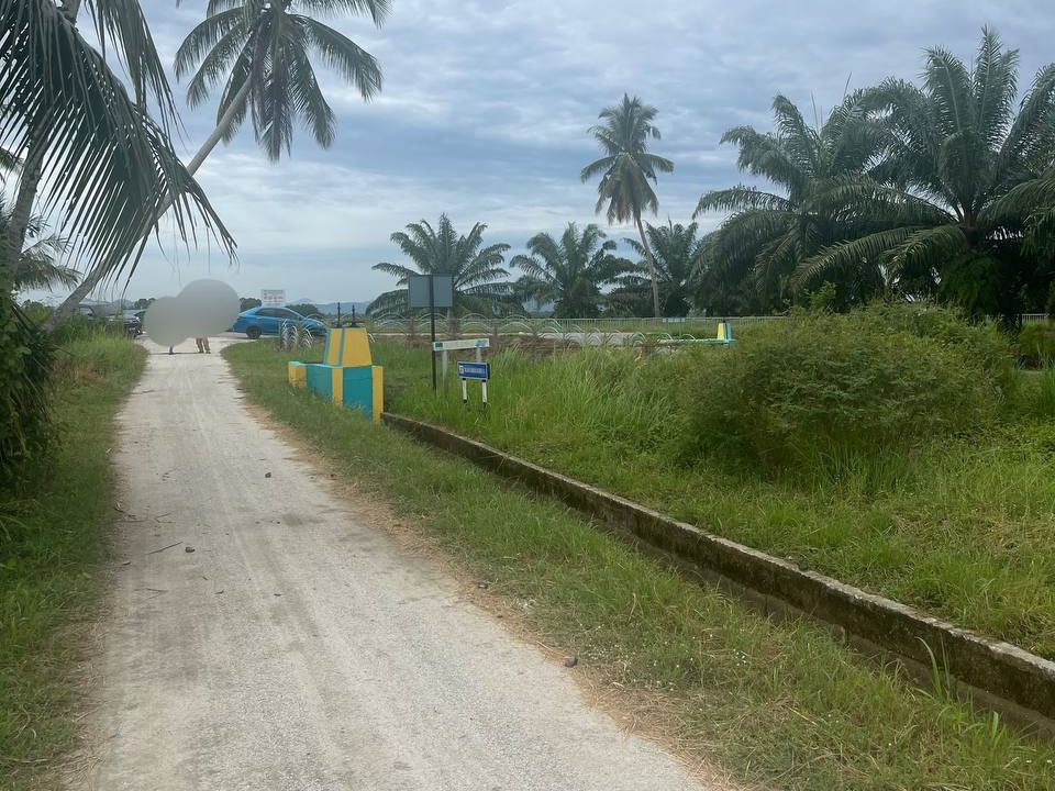 TANAH SAWAH DI KG SUNGEI ACHEH , SEBERANG PERAI PENANG UNTUK DIJUAL
