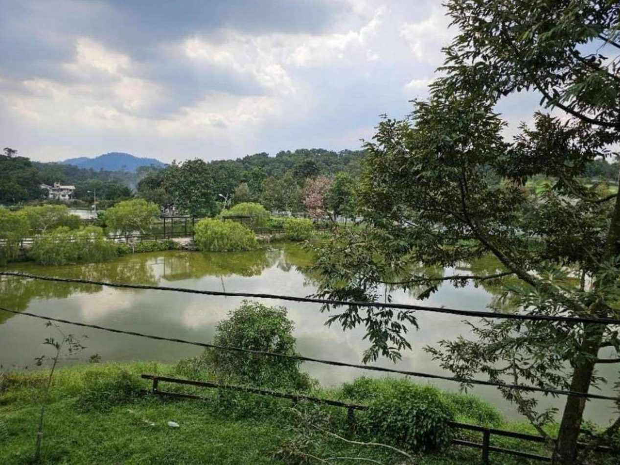 Tanah Pertanian 2.7 Ekar Batu 14 Hulu Langat