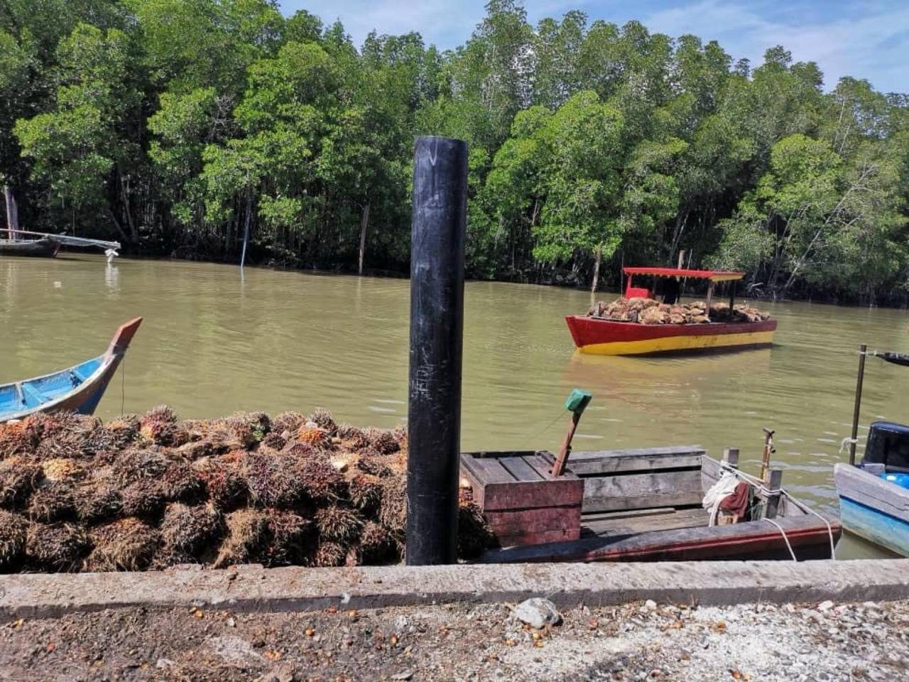 Ladang Sawit 1,049 Ekar Sitiawan Perak