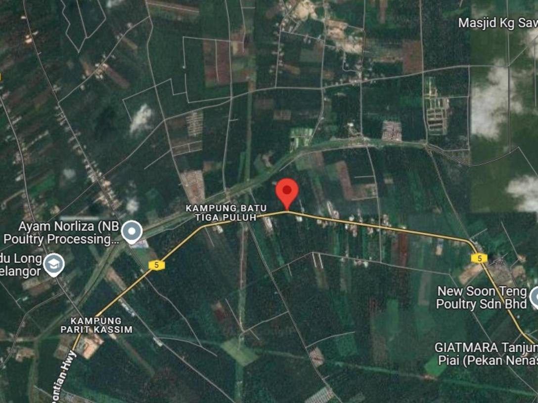 Tanah Pertanian 26.27 Ekar Freehold Lebuhraya Skudai Pontian