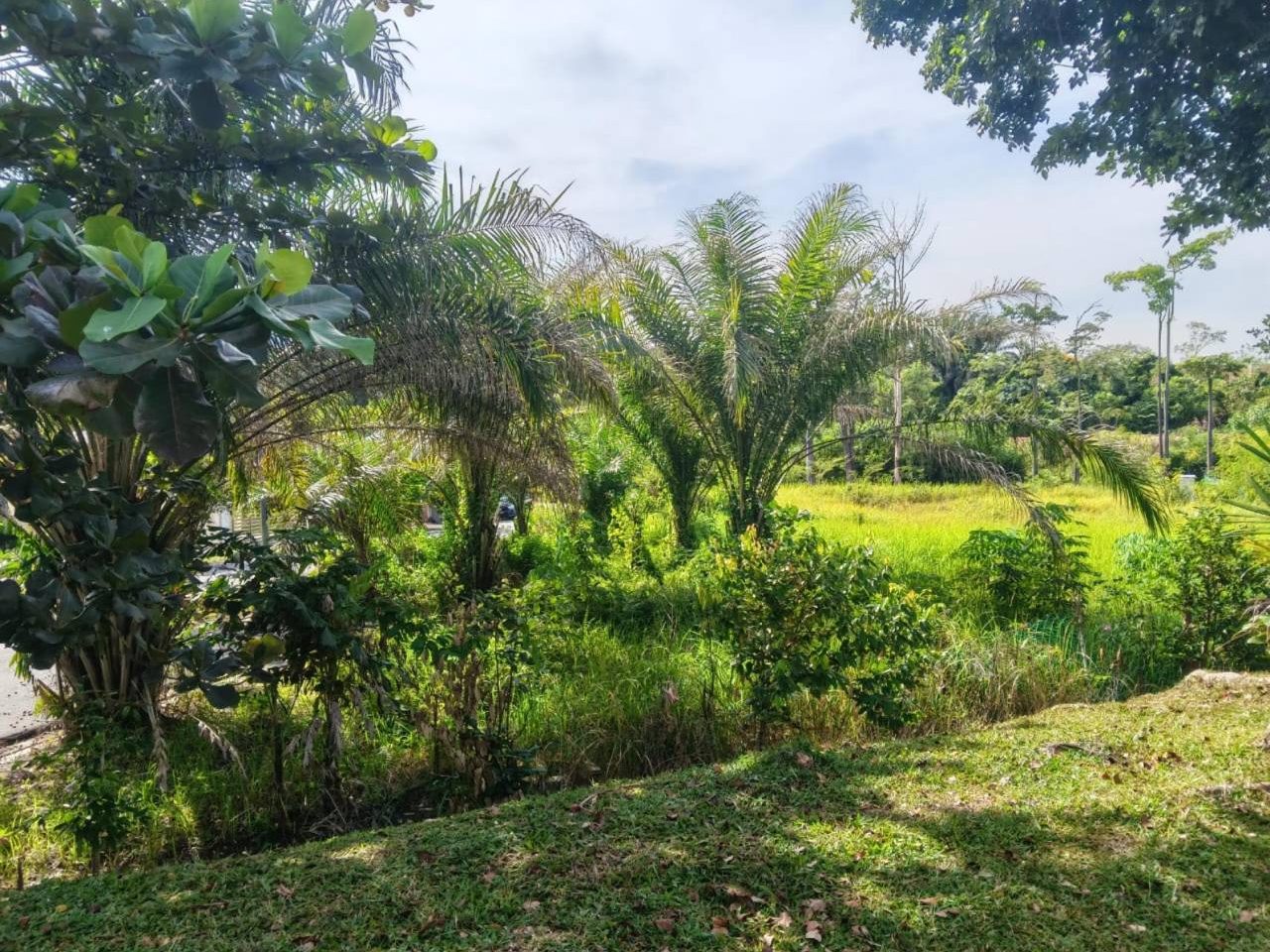 Tanah Lot Banglo 7,815 Kaki Persegi Freehold Corner Lot Senawang