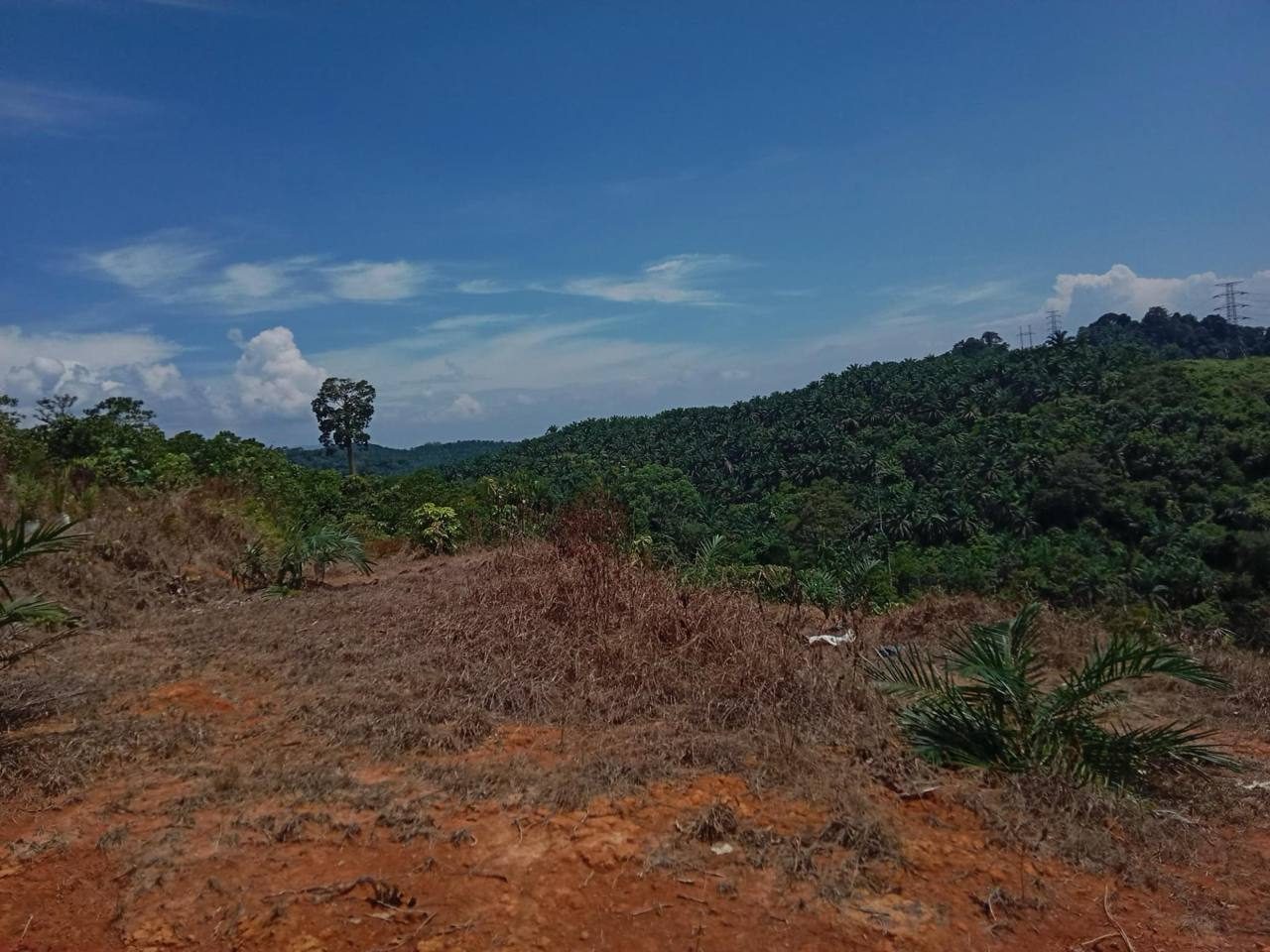 Tanah Pertanian 2 Ekar Ulu Pia Dong Pahang