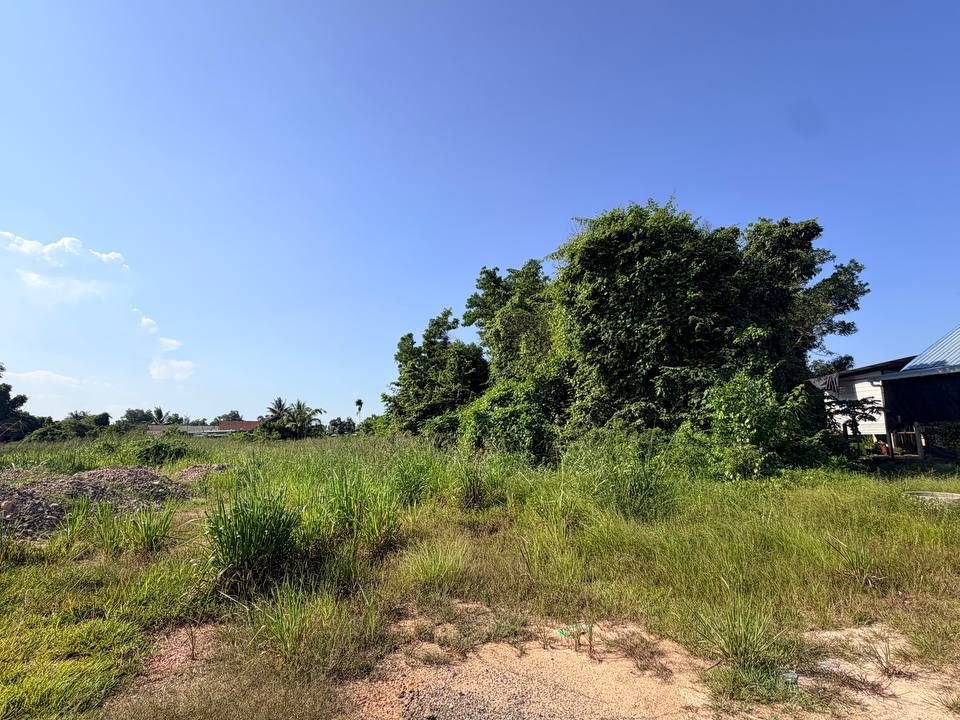 Tanah Lot Banglo 5790 Sqft Freehold Rezab Melayu Pengkalan Pandan Kemaman