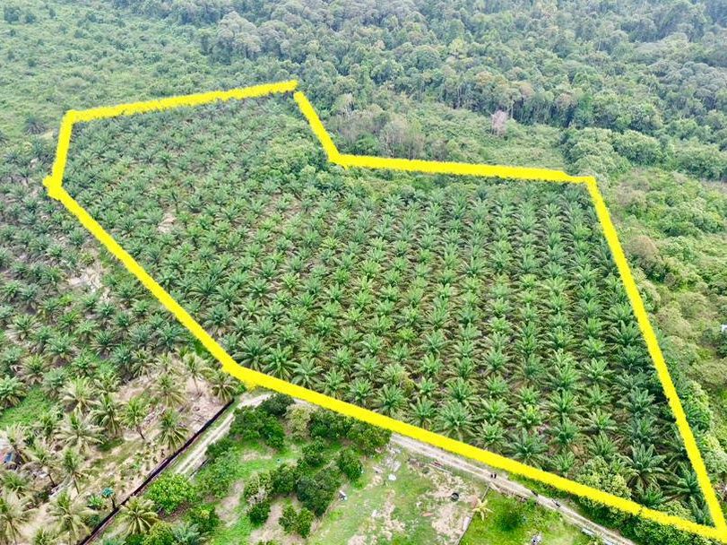 Tanah Sawit 6.08 Ekar Freehold Pondok Pasir Ibok Kemaman