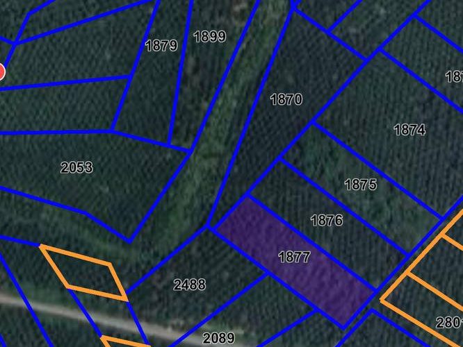 Tanah Pertanian 3.07 Ekar KgGajah Air Kuning