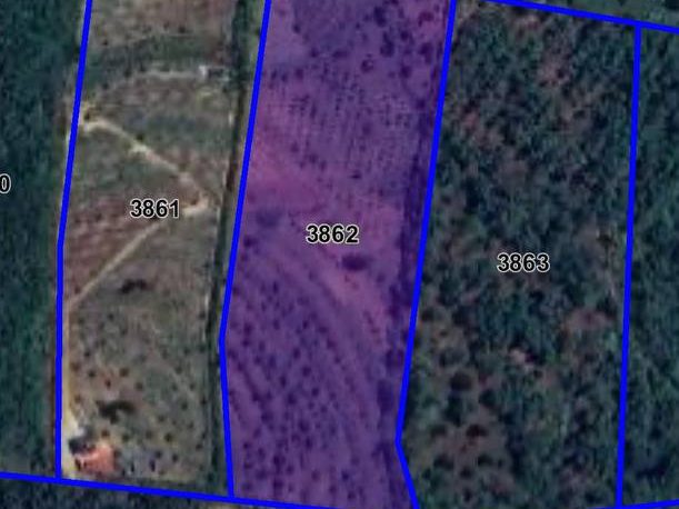 Tanah Dusun 3.89 Ekar Freehold Tiada Sekatan Sungkai Perak