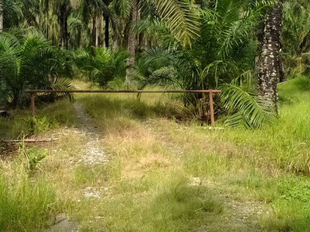 Tanah Sawit 5.43 Ekar Sungai Tungku Teluk Intan
