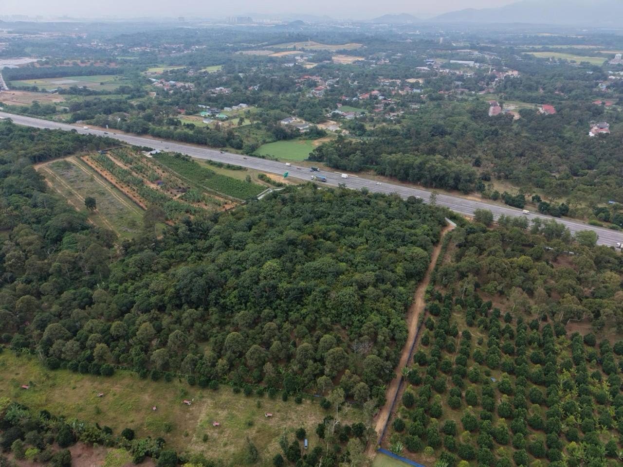 Tanah Pertanian 3.34 Ekar Freehold Mantin LEKAS