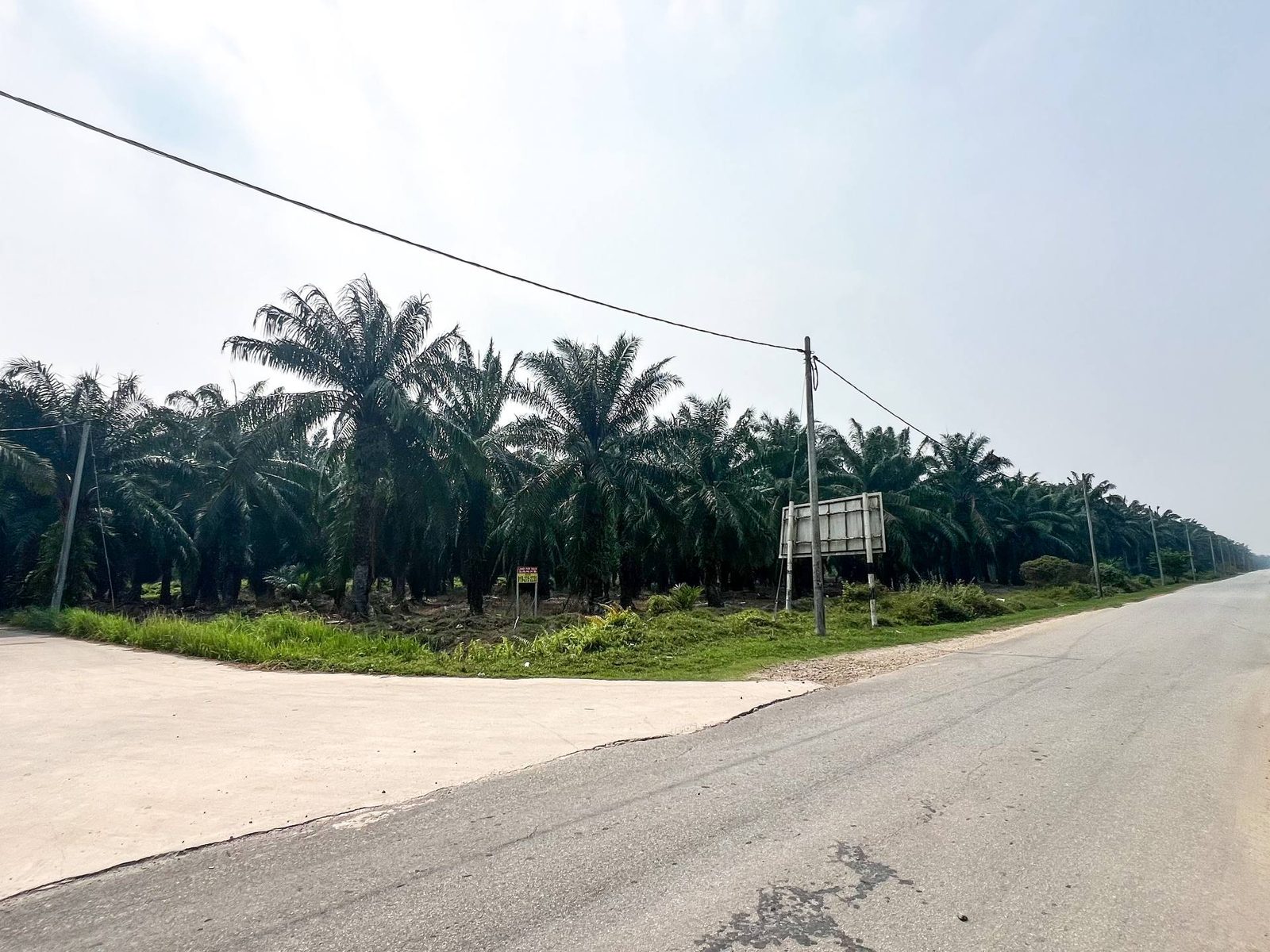 Tanah Pertanian 5 Ekar Freehold Open Title Parit Mahang Ijok