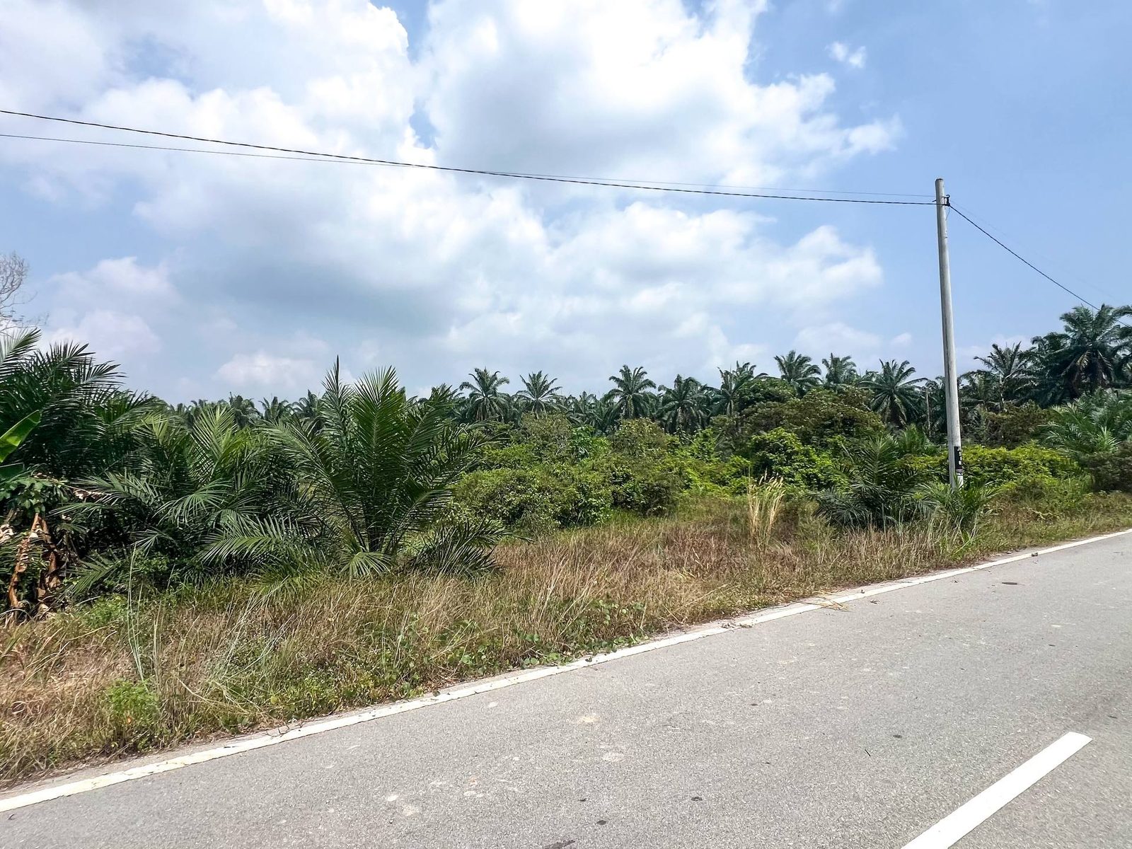 Tanah Pertanian 2.7 Ekar Depan WCE Parit Mahang Ijok