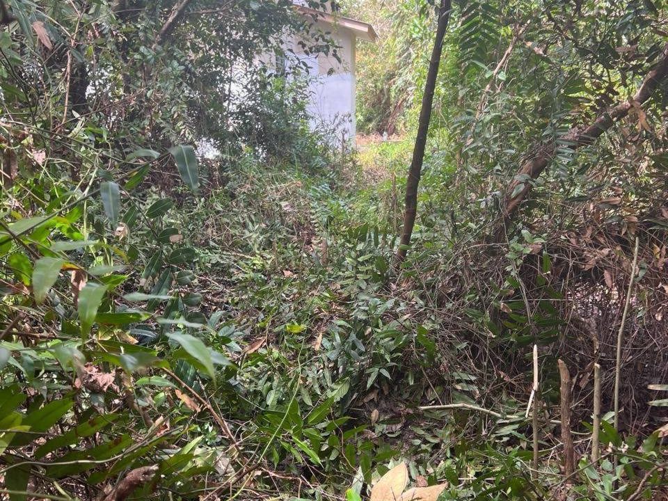 TANAH LOT BANGLO UNTUK DIJUAL DI BATU 3 BINJAI KEMAMAN