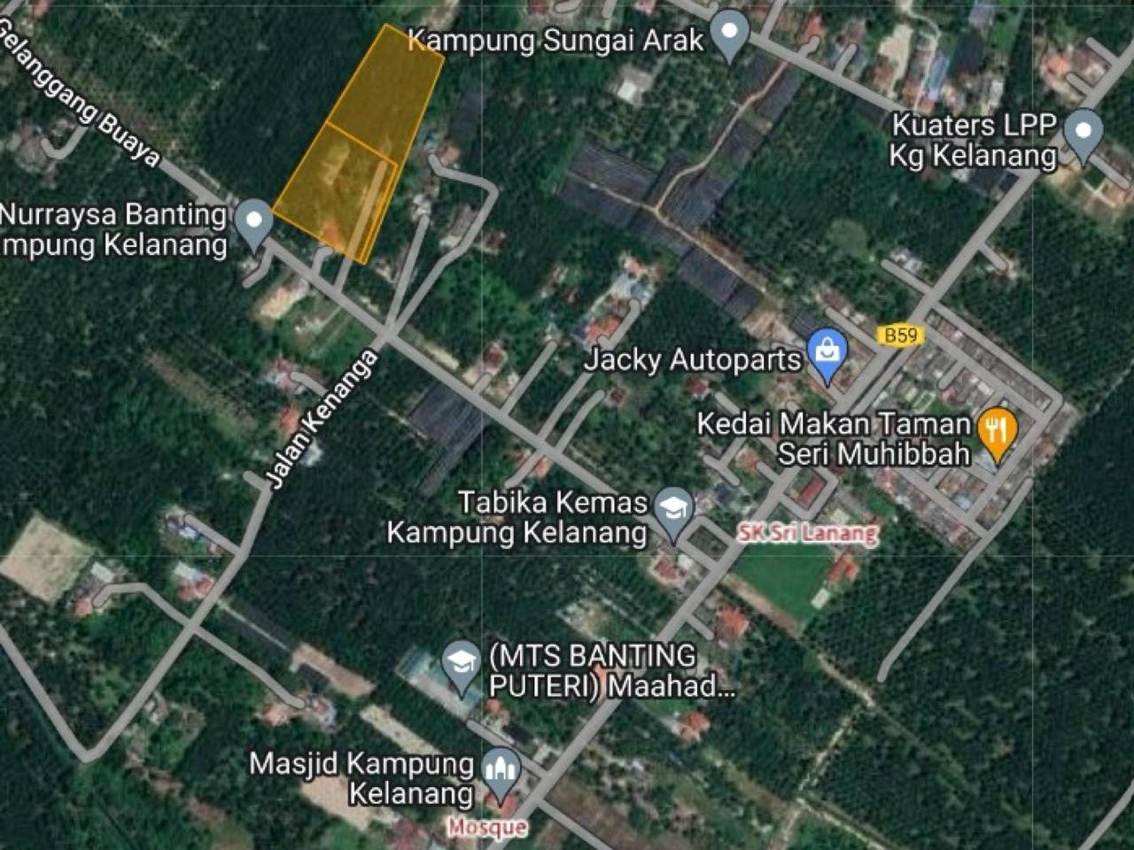Kampung Kelanang, Banting Selangor Agricultural Land Freehold for Sale