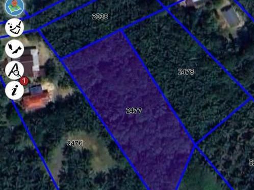 Tanah Pertanian 1.20 Ekar Kampung Kenangan Bandar Baharu Kedah