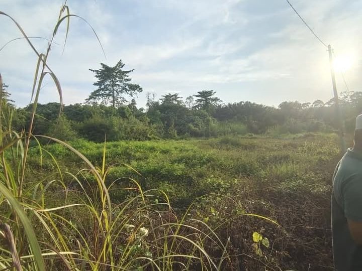 Tanah Pertanian 1 Ekar Kampung Manggol Kuala Nerang Kedah Freehold