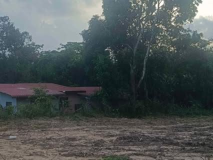 Tanah Pertanian 2.2 Relong Padang Temusu Pokok Sena Kedah